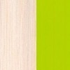 Дуб молочный/Салатовый
