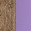 Дуб шамони/Фиолетовый