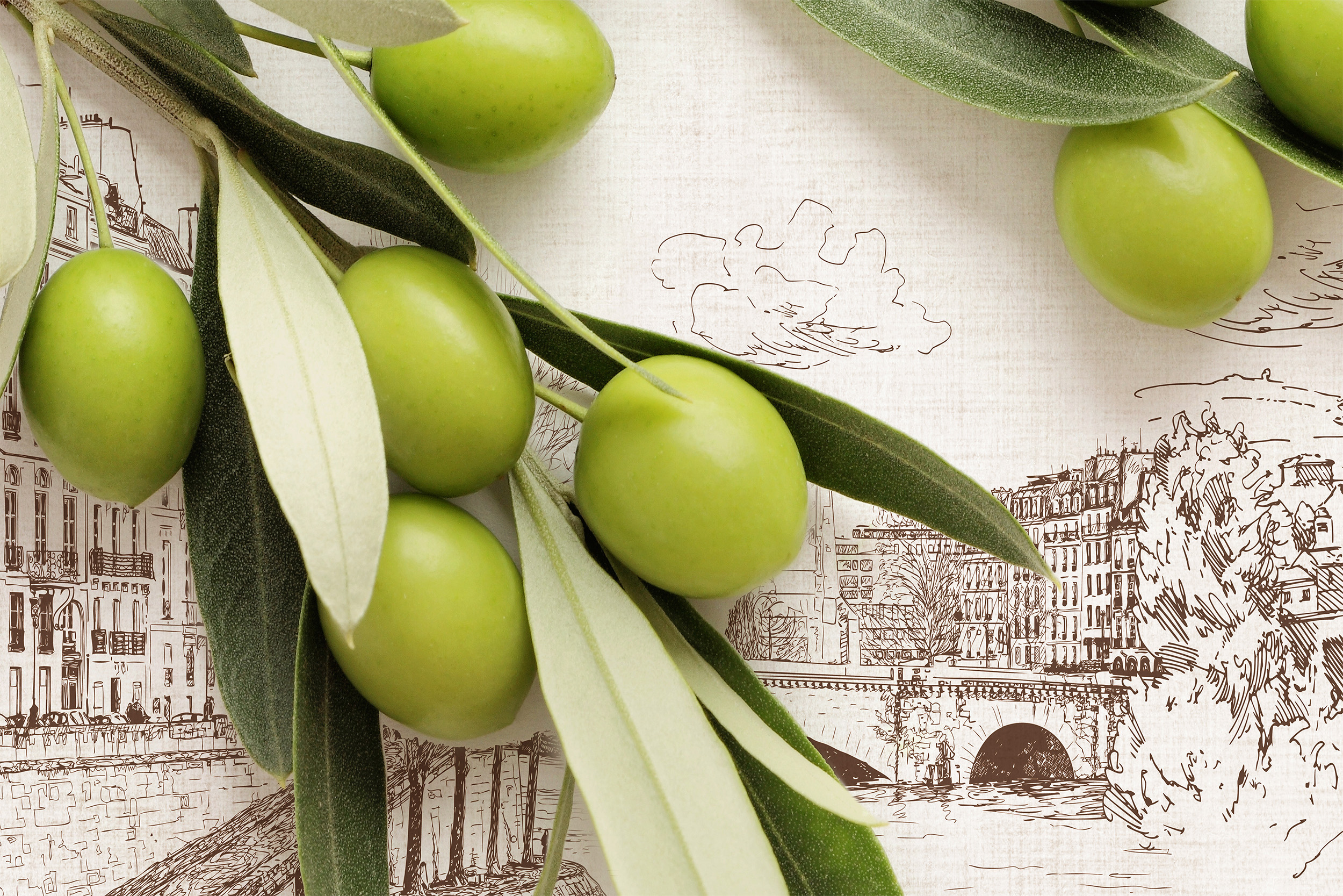 Стеновая панель «итальянская олива». Итальянская олива. Итальянская олива. Итальянская олива. Итальянские оливки.