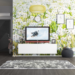 Тумба для телевизора подвесная РВК-1800