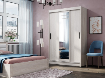 Шкаф-купе Тео ШКК-02