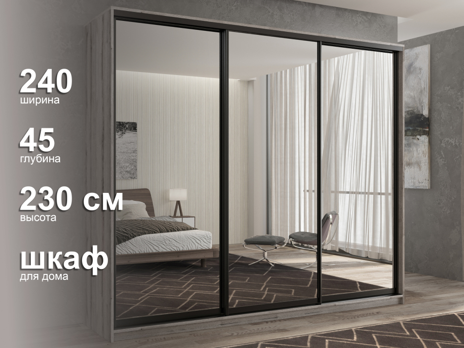 Шкафы-купе 3-х дверные, Шкаф-купе 3х дверный Кааппи 1 240х45