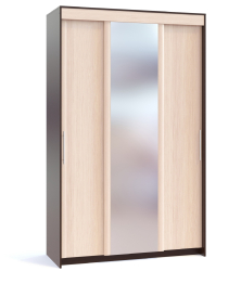 Шкаф-купе с зеркалом Контур ШР-156.2