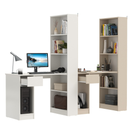 Два письменных стола Лайт 10.01 со шкафом с полками