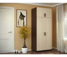 В гостиную, Шкаф 2-х створчатый с перегородкой