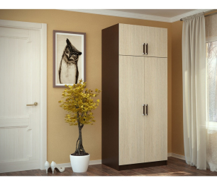 Шкаф 2-х створчатый с перегородкой