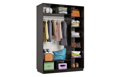 Шкаф-купе Премьер 12 (11ЗГ;11ЗГ) фасады зеркало графит/двухдверный/Профиль чёрный муар