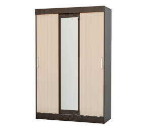 Шкаф-купе Бася