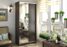 Шкафы-купе, Шкаф-купе АЛЬЯНС 1,0