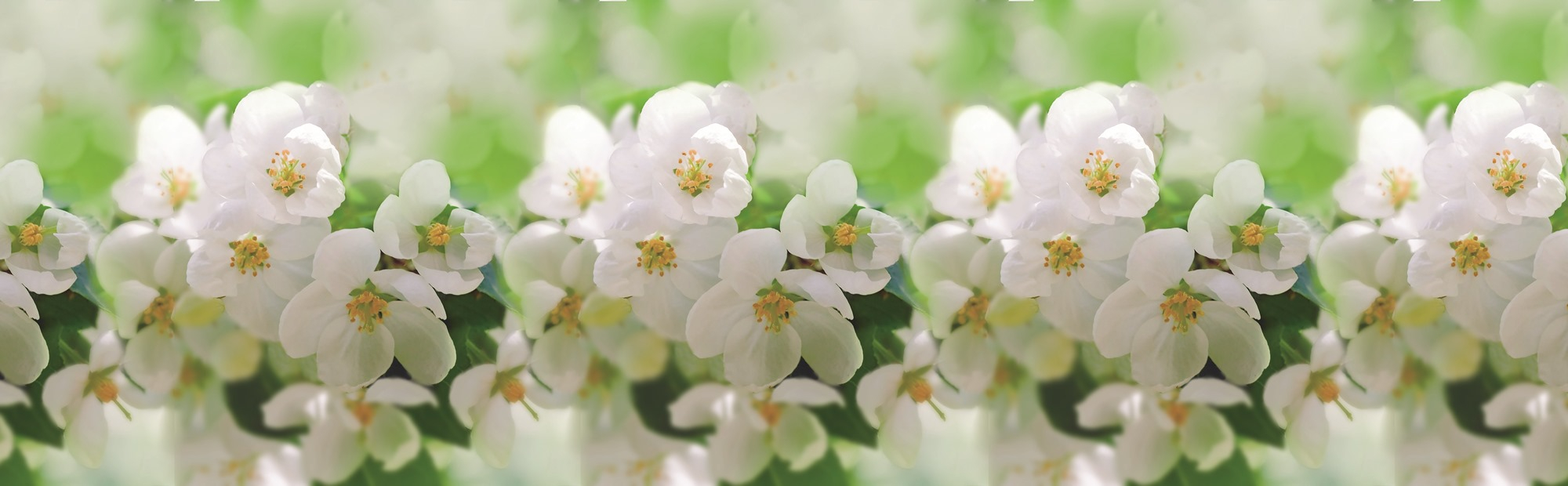 Стеновые панели из АБС-пластика, Кухонный фартук Соцветие 2000x600x1.5 мм глянец