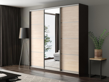 Шкаф-купе Айсберг 250 ВЕНГЕ (шамони светлый/зеркало)