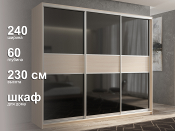 Шкаф-купе 3х дверный Кааппи 12 240х60