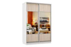 Шкафы-купе, Шкаф-купе Премьер Лайт 01 Мини (05;05) двухдверный