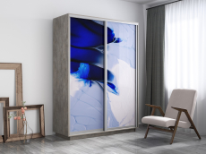 Шкафы-купе, Шкаф-купе Экспресс 1010, 160х45х220