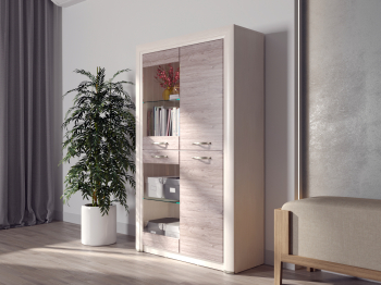 Шкаф-витрина 2V2D