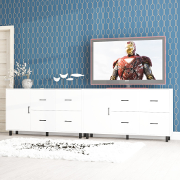 Два комода-тумбы с выдвижными ящиками и дверками РВК 125-1504