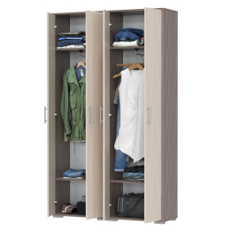 Два шкафа для одежды Домино 2-3430