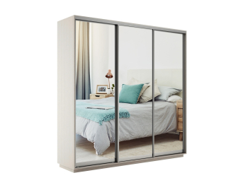 Шкаф-купе Экспресс Экспенс трио 2200 x 2400 x 450