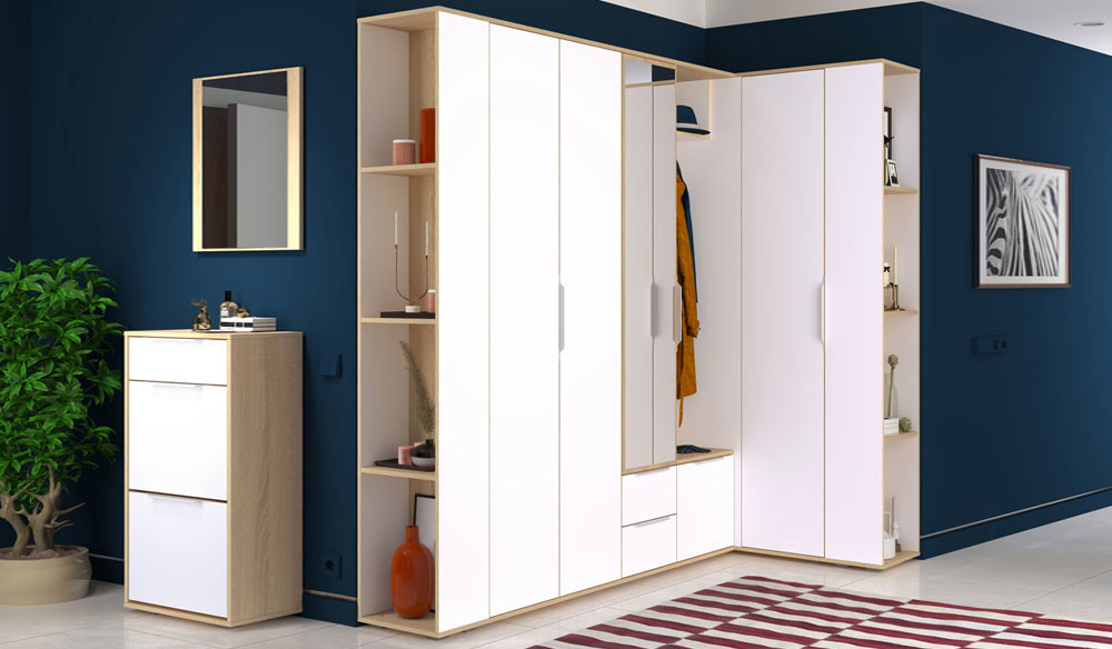 Шкафы распашные, Шкаф для одежды Куба 13.137