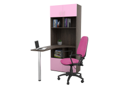 Домашние кабинеты, Письменный стол-стеллаж, Дуб Венге