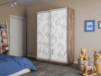 Шкаф-купе Экспресс 2-х дверный Фотопечать Ленты Стекла 160х45х240