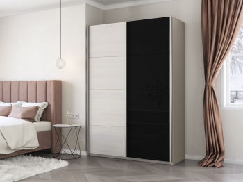 Шкаф-купе Прайм 2-х дверный ДСП/Стекло черное/Доводчики 120х57х230