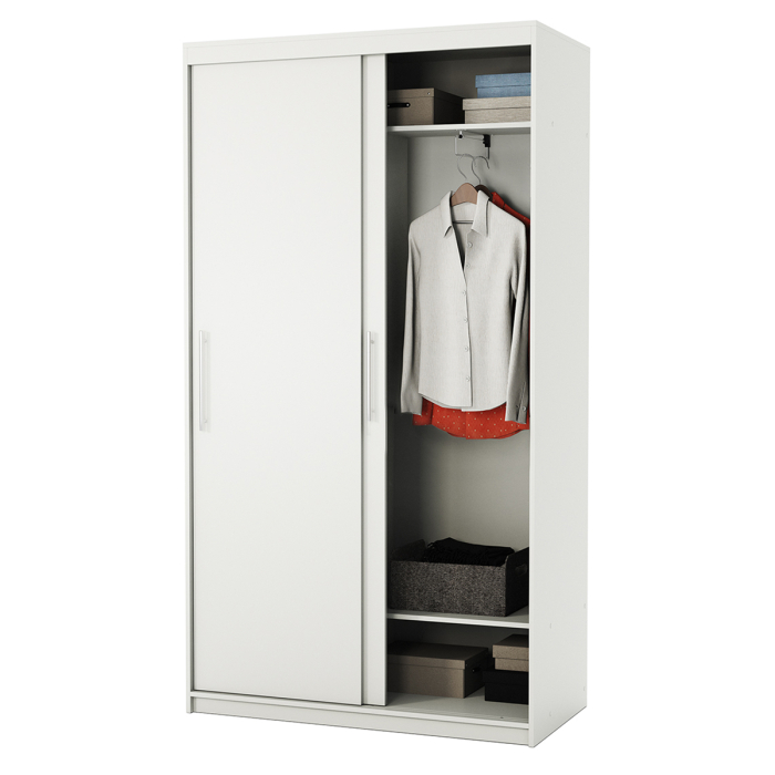 Шкафы-купе 2-х дверные, Шкаф-купе 2-х дверный Эконом 100х45х200