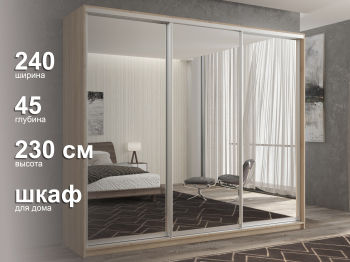 Шкаф-купе 3х дверный Кааппи 1 240х45