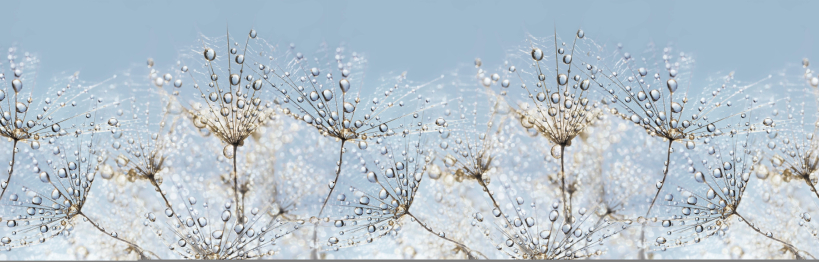 Кухонный фартук Утренняя роса 2000x600x1.5 мм глянец