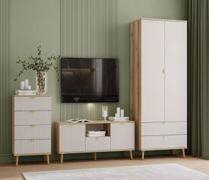 Гостиная Дакота комплектация 1 