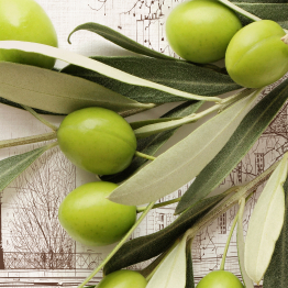 Интерьерная панель из стекла 500*600*6 мм MGF56_оливки