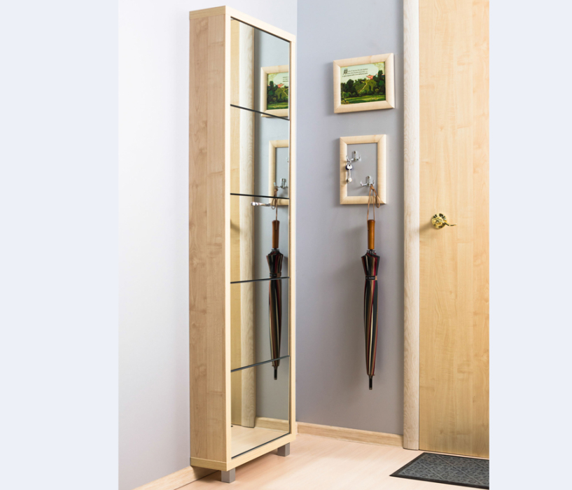 Обувницы, Шкаф обувной люкс зеркало