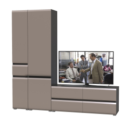 Стенка в гостиную Сидней № 22