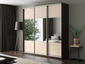 Шкаф-купе Айсберг 250 ВЕНГЕ (шамони светлый/комбинированный)