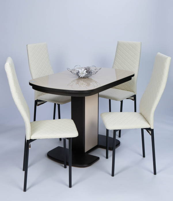 Обеденные группы, Обеденная группа Элегант/Магнат Пласт