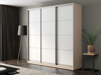 Шкаф-купе Айсберг 250 ШАМОНИ СВЕТЛЫЙ (белый/глухой)