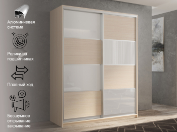 Шкаф-купе 2х дверный Кааппи 14 160х60