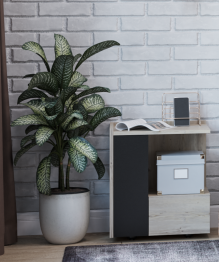 Модульная система Nature (модуль 42) Тумба прикроватная