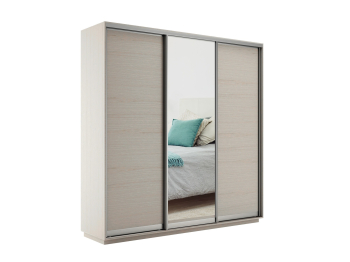 Шкаф-купе Экспресс Медиум (1 зеркало) трио 2400 x 2400 x 450