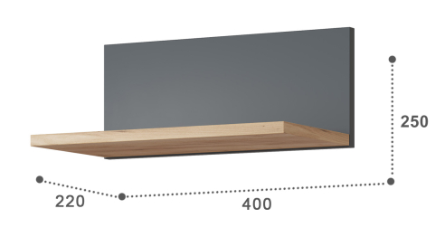 Полка Эмилия ЭЛ-9