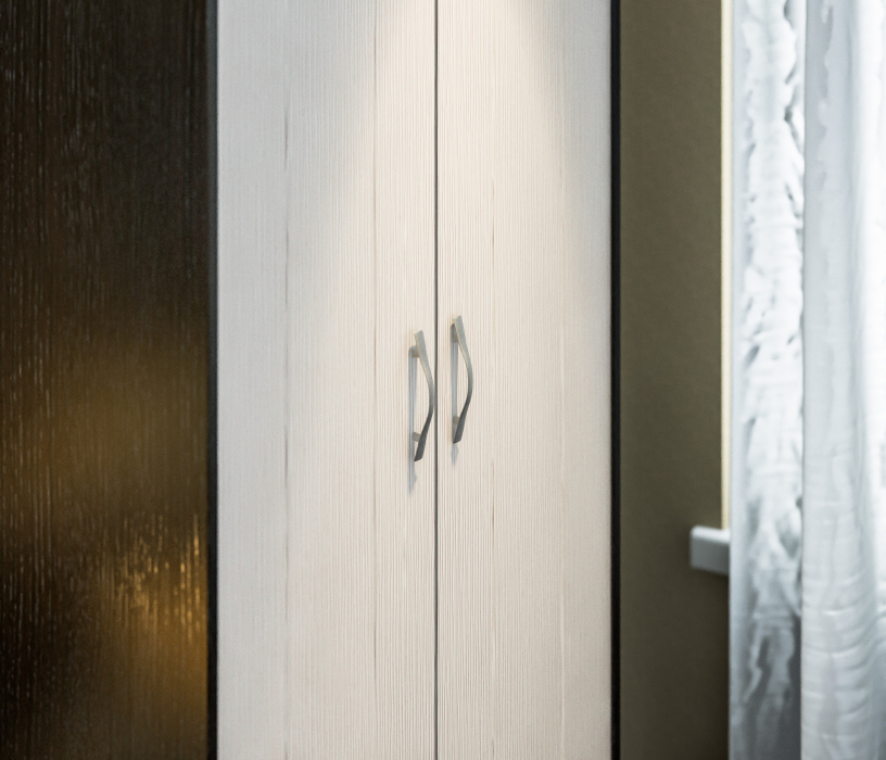 Шкафы, Шкаф для одежды Сити СБ-217