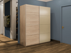 Шкафы-купе 2-х дверные, Шкаф-купе Эста 2-х дверный ДСП/Стекла фисташка/Доводчик 200х66х240