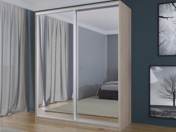 Шкаф-купе 2х дверный Лаурус 1 120х45