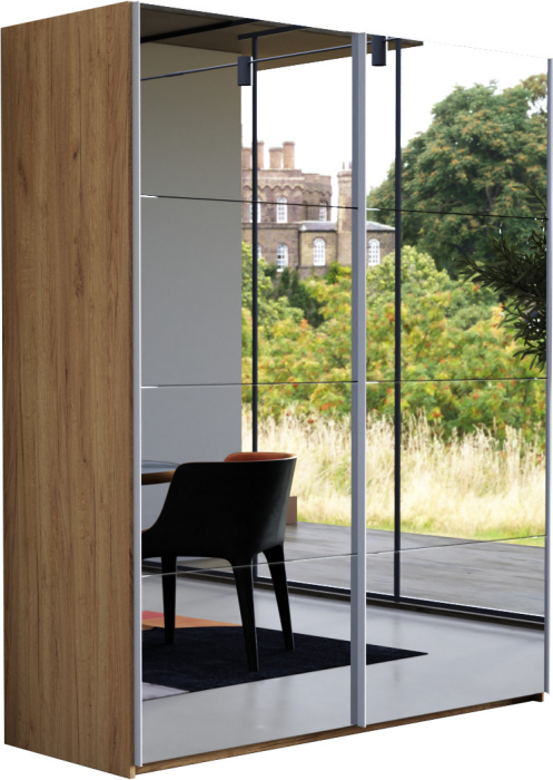 Шкафы-купе 2-х дверные, Шкаф-купе Эста Зеркало+Зеркало 200х66х240