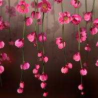 Стеновые панели, Интерьерная панель из стекла 500*600*6 мм MGF56_цветочное_настроение