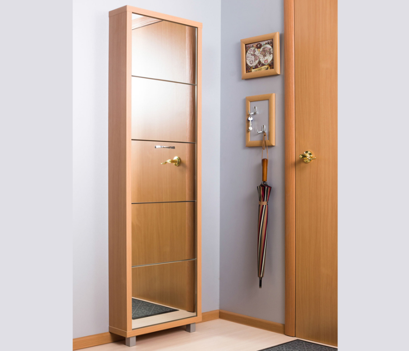 Обувницы, Шкаф обувной люкс зеркало