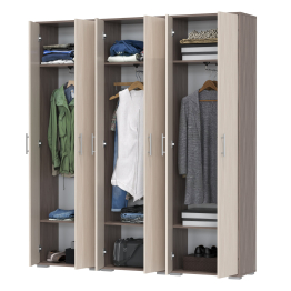 Три шкафа для одежды Домино 2-3430