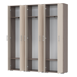 Три шкафа для одежды Домино 2-3430