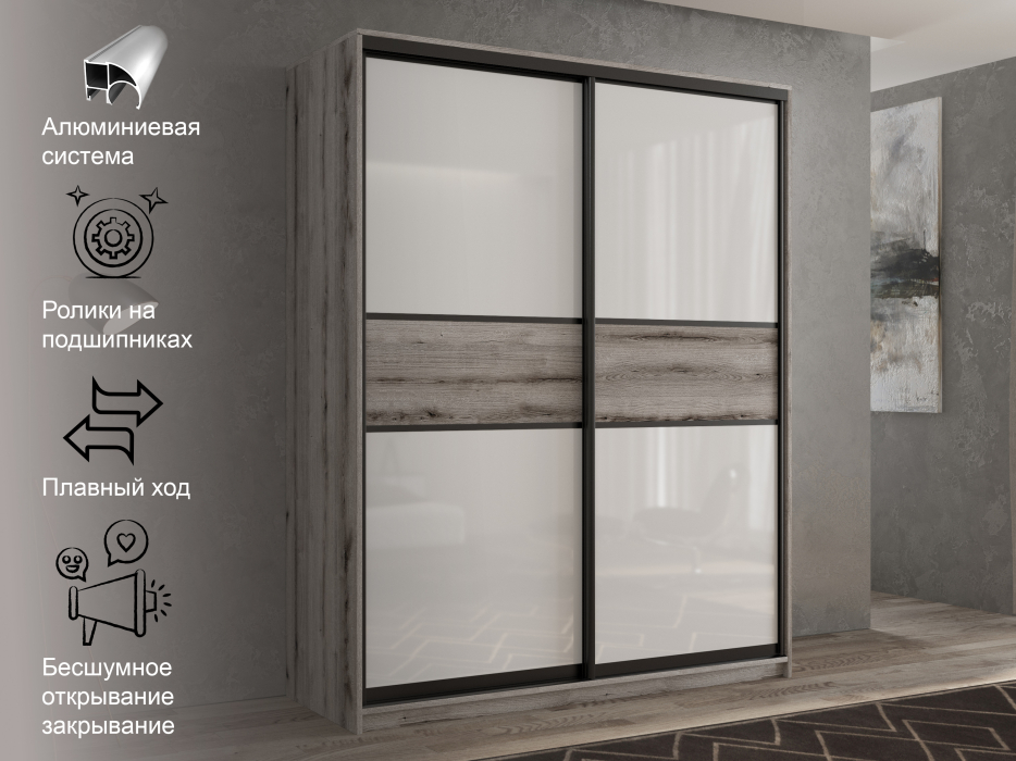 Шкафы-купе 2-х дверные, Шкаф-купе 2х дверный Кааппи 11 160х45