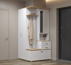 Шкаф для прихожей Антре 65.08
